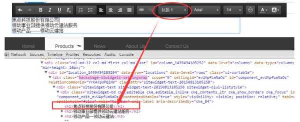 h1标签属性（h1标签的使用完全正确的是）