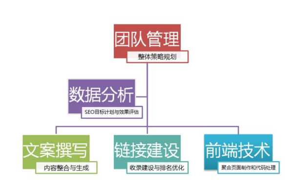 正规seo团队一般都有哪些组成（seo团队规模）