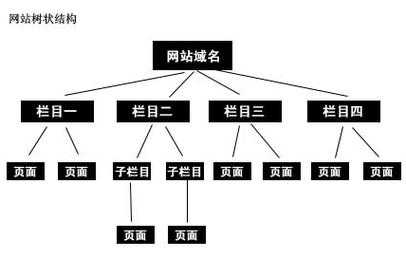 什么是网站的树状结构（网站网状结构）