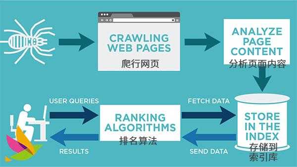 网站怎么吸引蜘蛛爬行视频（网站seo如何做蜘蛛屯）