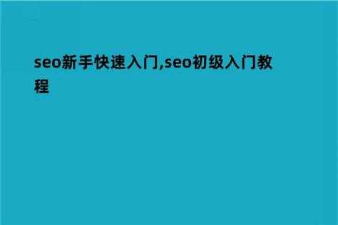 seo新手怎么快速入门（最新seo新手教程）