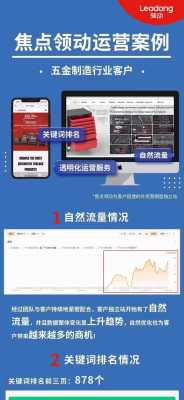 seo关键词排名优化专业公司（seo关键词优化排名哪家好）