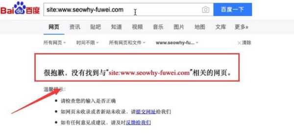 网站不收录的原因及解决方法有哪些（网站不收录文章那出现了问题）