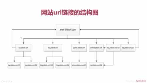 网站树状结构是什么？怎么优化？（网站树状结构是什么?怎么优化的）