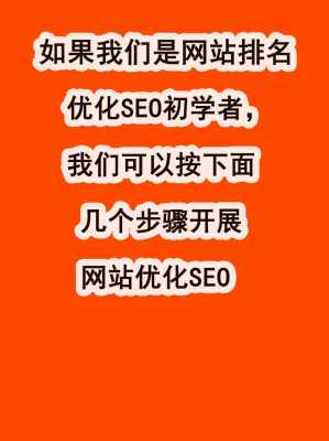 seo推广网站优化上排名教程（专业seo网站优化推广排名教程）