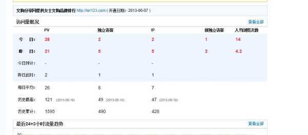 网站pv什么意思（网站术语pv）