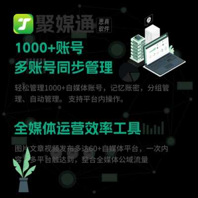 网站seo排名优化工具在线（网站seo排名优化工具在线查询）