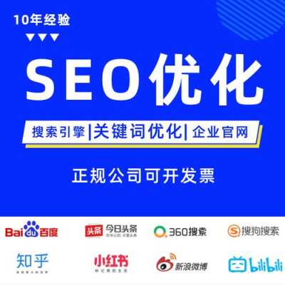 网站seo软件能优化（网站seo软件能优化么）